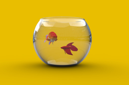 水族馆缩略图